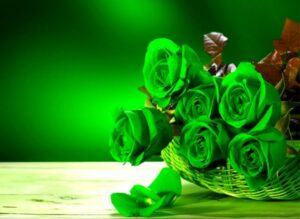 Hình nền hoa hồng xanh lá cây đẹp