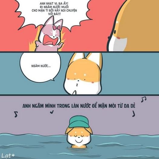 "Anh ngâm mình trong làn nước để mặn mòi từ da dẻ" là câu hát được không ít người "tâm đắc" vì có thể sử dụng khi bị ai đó chê "nhạt". Ảnh: Lạt.