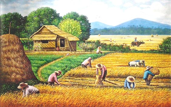 Tranh phong cảnh đồng quê lúa vàng