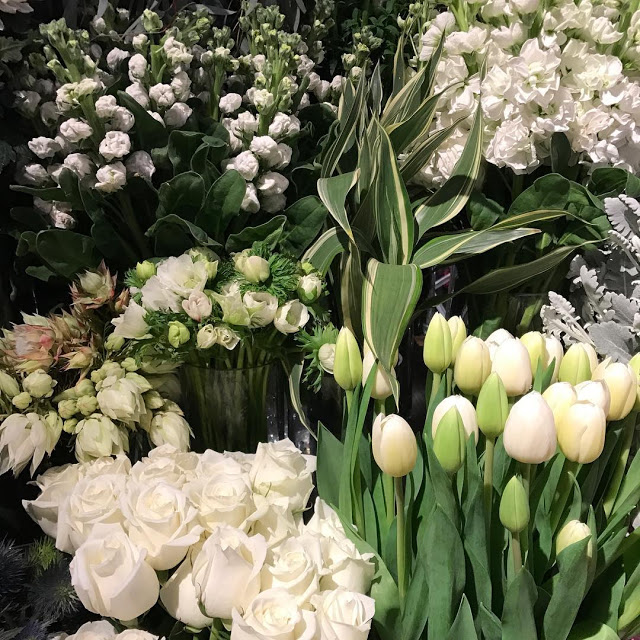20759915_476543382701962_7889698147855761408_n Ảnh Đẹp Về hoa Tulip Trắng