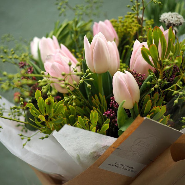 20837283_259594551194038_1694372904738750464_n Bó Hoa Tulip Trắng Đẹp Nhất