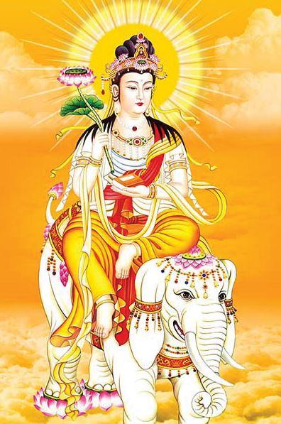 Phổ Hiền Bồ Tát, hình phổ hiền bồ tát