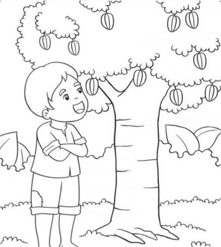 Mẫu tranh tô màu hình cây khế và cậu bé dành cho bé mầm non