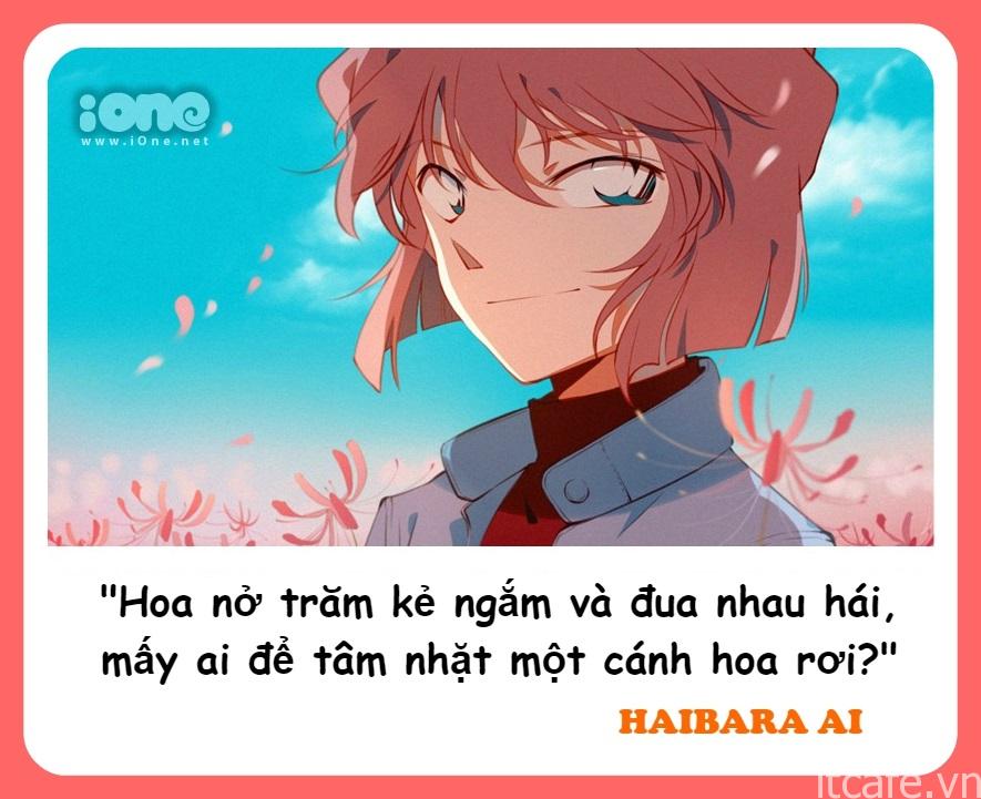 Haibara Ai cũng sở hữu IQ cực cao, là thiên tài trong lĩnh vực sáng chế, nghiên cứu khoa học. Tính cách Haibara có phần lầm lì, ít nói và lạnh lùng. Tuy nhiên, mỗi lần cô nàng mở miệng là một lần gây bão với hàng loạt phát ngôn siêu ngầu và siêu chuẩn.