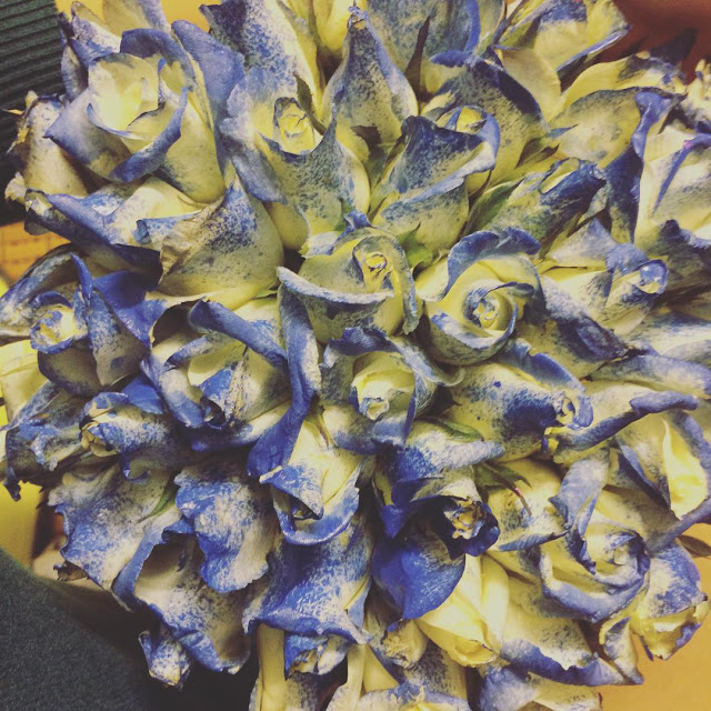 Bông hồng xanh, ảnh bông hoa hồng xanh dương đẹp nhất