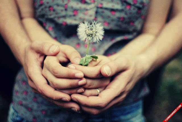 Tôi nghĩ trời hôm nay chưa đủ lạnh. Tôi nghĩ mình không nên làm cô ấy mất tự nhiên. Tôi nghĩ cô ấy ngồi cách xa mình quá. Tôi nghĩ … mà thực ra là tôi đang ngụy biện.