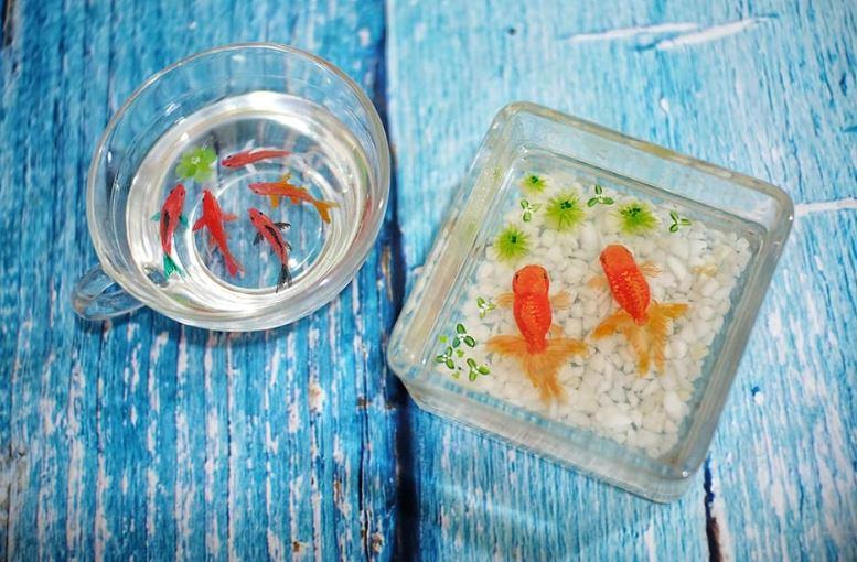 hình mẫu tranh cá 3D Resin đẹp 2020