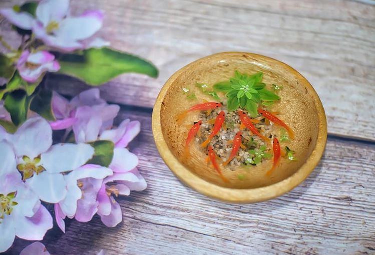 hình tranh cá 3D Resin đẹp nhất