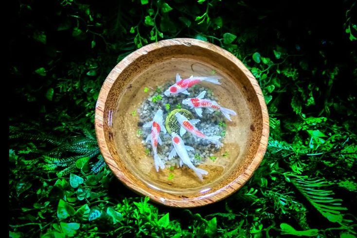 ảnh mẫu tranh cá 3D phong thủy