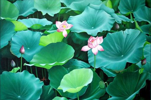 Tranh sơ dầu hình ảnh những bông hoa sen cực đẹp